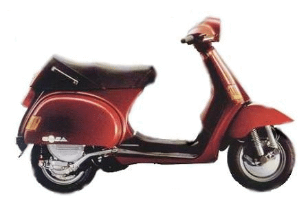 Picture of Vespa cosa