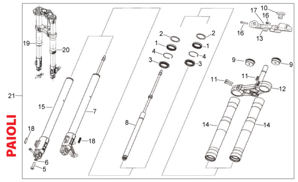 Picture of Front fork Paioli