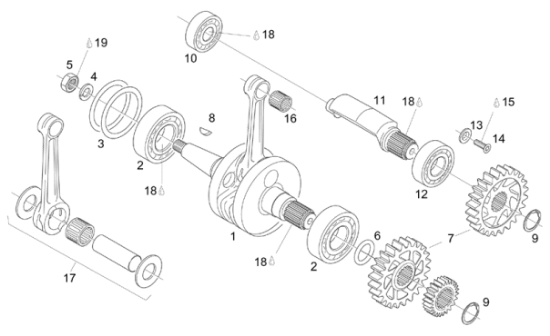 Εικόνα της ΡΟΥΛΕΜΑΝ ΣΤΡΟΦ SX-RX-MX 125 SUP MOT 6206-AP0832533