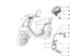 Εικόνα της ΠΙΠΑ ΜΠΟΥΖΙ SCOOTER-ΜΟΤ/ΛΑΤΩΝ-103936