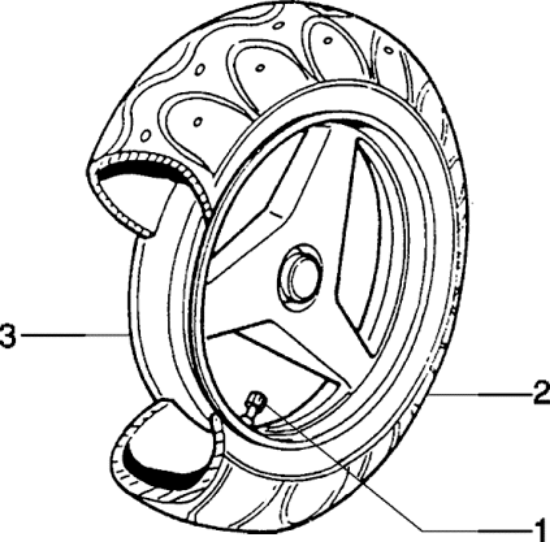 Εικόνα της ΒΑΛΒΙΔΑ ΤΡΟΧΟΥ TUBELESS D=10mm-266434