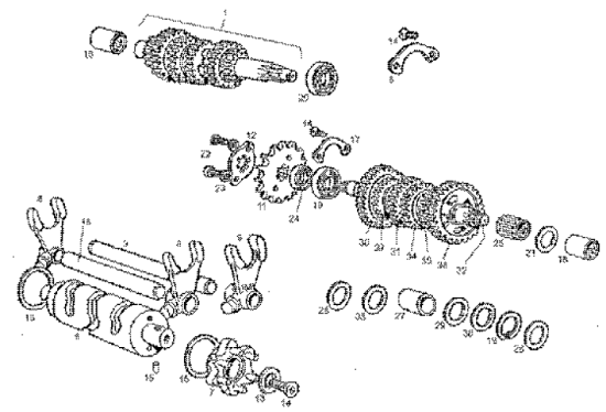 Εικόνα της ΓΡΑΝΑΖΙ 5Ης SMT-SX-RX-RS 50 (ΔΟΝΤΙΑ=23)-847154