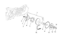 Εικόνα της ΙΜΑΝΤΑΣ ΚΙΝΗΣ ΤYPH-FLY-LIB-SP CITY-SCAR-1A013579
