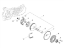 Εικόνα της ΙΜΑΝΤΑΣ ΚΙΝΗΣ ΤYPH-FLY-LIB-SP CITY-SCAR-1A013579