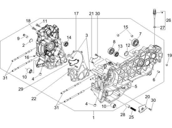 Εικόνα της ΚΑΡΤΕΡ FLY 150 4T CAT 2-CM1485135002