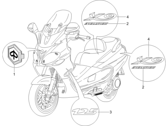 Εικόνα της ΣΗΜΑ ΠΟΔΙΑΣ 125 Χ8-Χ9 EVO ΑΡ/ΔΕ-620831