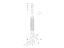Εικόνα της ΑΜΟΡΤΙΣΕΡ ΠΙΣΩ FLY 125/150 4T 3V MY13-667407
