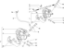 Εικόνα της ΔΑΓΚΑΝΑ ΠΙΣΩ ΦΡ RUΝ 50-STALK-NRG POW-56194R
