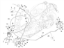 Εικόνα της ΤΑΚΑΚΙΑ ΦΡ LEO-SCAR 100-HAB-SR 125 ΜΠΡ-AP8213460