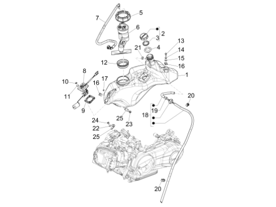 Εικόνα της ΣΩΛΗΝΑΚΙ ΒΕΝΖΙΝΗΣ VESPA SPRINT-PRIM-1B001000R