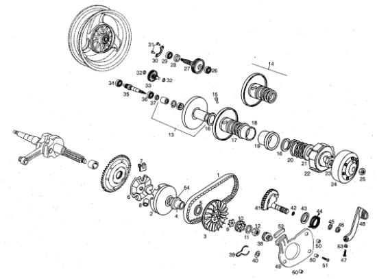 Εικόνα της ΡΟΔΕΛΑ ΦΤΕΡΩΤΗΣ ΒΑΡΙΑΤ DIESIS 100-00G02901091