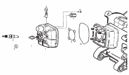 Εικόνα για την κατηγορία Κεφαλή