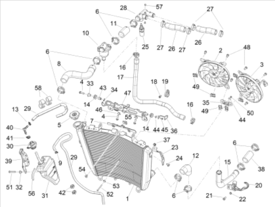 Εικόνα της ΚΟΛΛΙΕΣ-893224