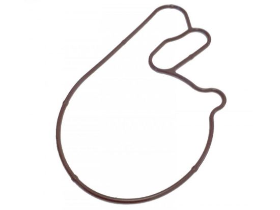 Εικόνα της Ο-ΡΙΝΓΚ ΚΑΠΑΚΙΟΥ ΤΡΟΜΠΑΣ ΝΕΡΟΥ MEDLEY-1A001276