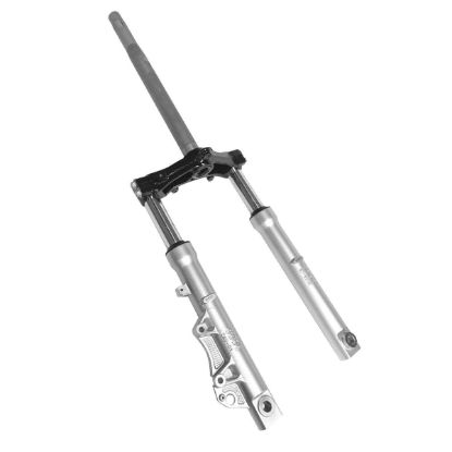 Εικόνα της ΠΙΡΟΥΝΙ MEDLEY MY20-1C002901