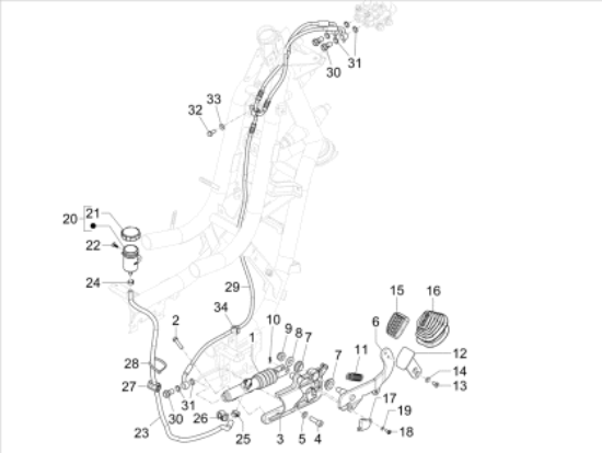 Εικόνα της ΔΑΚΤΥΛΙΔΙ-650636