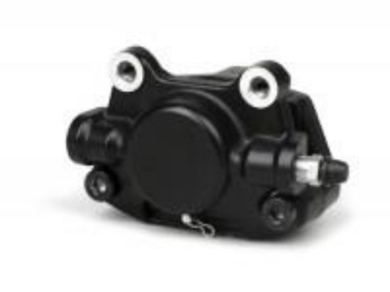 Εικόνα της ΔΑΓΚΑΝΑ ΠΙΣΩ ΦΡ==>>CM294804-CM074101