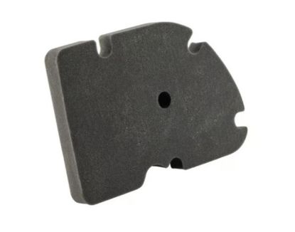 Εικόνα της ΦΙΛΤΡΟ ΑΕΡΟΣ VESPA GTS 310-1A0257630P