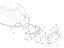 Εικόνα της ΛΑΣΠΩΤΗΡΑΣ VESPA S 50-125 ΚΟΚΚΙΝΟΣ 894-65426160R7