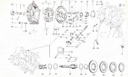 Εικόνα της ΚΑΡΥΔΑΚΙ ΠΙΣΩ ΦΡ ΡΚ-2159374