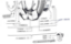 Εικόνα της ΕΛΑΣΤΙΚΟ MICHELIN 3.00 - 10 42J S83 TL/T-UGTM057199